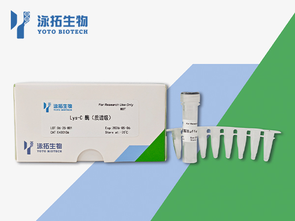 Lys-C酶（质谱级）