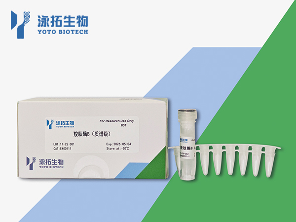 羧肽酶B（质谱级）