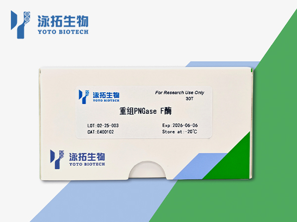 重组PNGase F酶