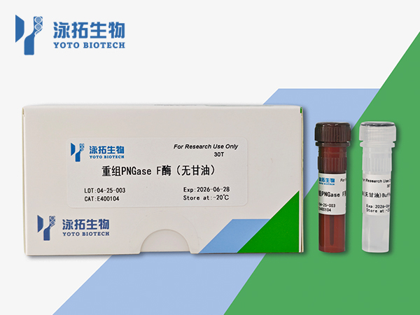 重组PNGase F酶（无甘油）