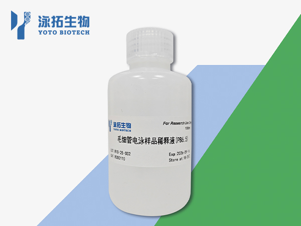 毛细管电泳样品稀释液(PB6.5) - R300110