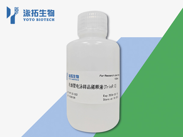 毛细管电泳样品稀释液（Tris9.0）