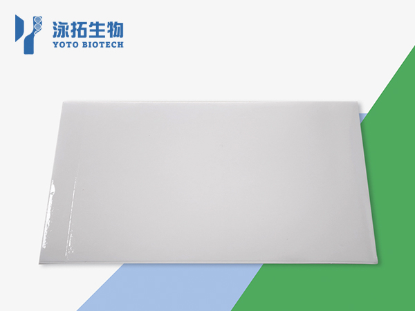 毛细管电泳96孔板封板膜