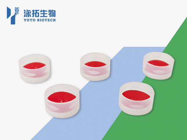 毛细管电泳卡口瓶盖