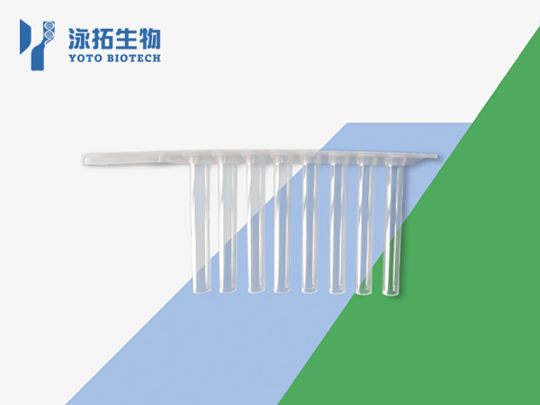 N糖谱磁力套