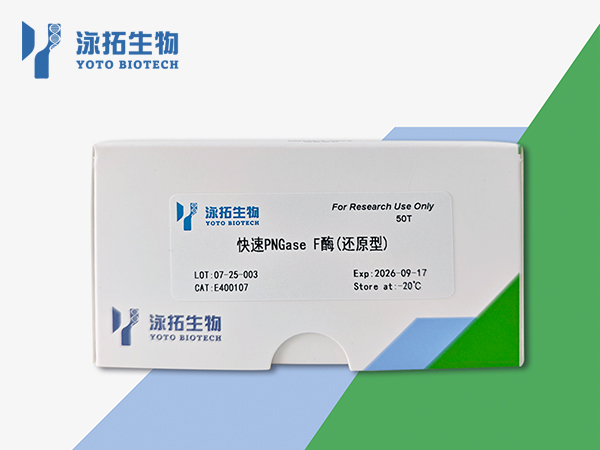 快速PNGase F酶（还原型）
