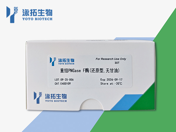 重组PNGase F酶（还原型，无甘油）