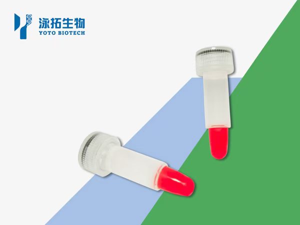 离心式快速脱盐柱（0.5ml）