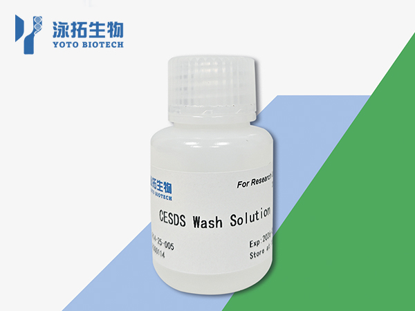 CE-SDS Wash Solution
