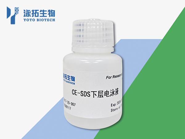 CE-SDS 下层电泳液